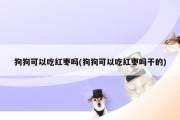 小狗可以吃红枣吗为什么,小狗能吃大红枣吗