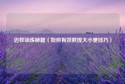 边牧训练秘籍（如何有效教授大小便技巧）