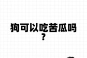 狗可以吃苦瓜吗为什么,狗能否吃苦瓜