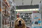 商场能带宠物狗进去吗(商场可以带宠物吗南京)