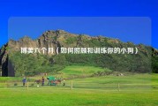 博美六个月（如何照顾和训练你的小狗）
