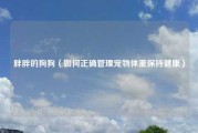 胖胖的狗狗（如何正确管理宠物体重保持健康）