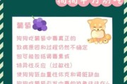 狗能不能吃山竹果(狗不能吃山竹吗)