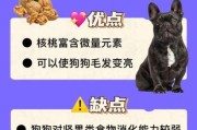 狗可以吃核桃吗熟的,狗可以吃核桃吗有毒吗