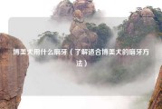 博美犬用什么磨牙（了解适合博美犬的磨牙方法）