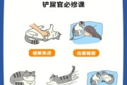 女人养猫的十大坏处,吸猫有什么好处