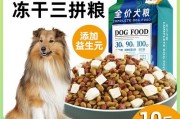 喜乐蒂吃什么狗粮好？挑这几种准没错！