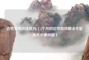 边牧宠物训练技巧（2个月的边牧如何解决不定点大小便问题）