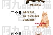 缅因猫寿命一般多少年,缅因猫寿命多少年
