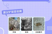 猫瘟的症状包括哪些方面,感染猫瘟的猫咪如何进行治疗