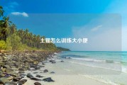 土猫怎么训练大小便