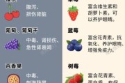 狗狗忌口的食物一览表,狗可以吃紫菜汤吗