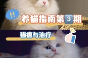 猫瘟临床症状是否包括体温迅速升高(猫瘟症状表现的严重程度受哪些因素影响)