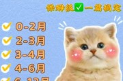 幼猫什么时候断奶好,幼猫什么时候断奶吃猫粮