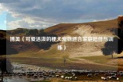 博美（可爱活泼的梗犬宠物适合家庭陪伴与训练）