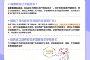 猫咪打狂犬疫苗的重要性及接种注意事项