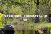 实用指南（如何让一岁的狗狗养成室内大小便习惯）
