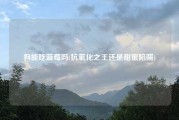 狗能吃蓝莓吗(抗氧化之王还是甜蜜陷阱)