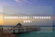 如何预防博美犬心脏肥大（了解常见症状和注意事项）