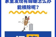 家里一旦有了蟑螂是不是根治不了,猫吃了小蟑螂怎么办