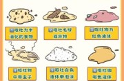 柯基幼犬胃反转表现有哪些？铲屎官必看！