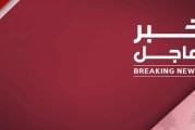 صور كلاب بلدية مضحكة: أفضل صور بروفايل لعام 2024