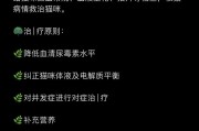 猫肾衰最好的恢复方法,猫肾衰竭能不能治好