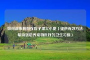 如何训练狗狗在院子里大小便（提供有效方法帮助您培养宠物良好的卫生习惯）