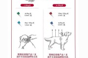 狗狗外驱虫药涂在哪个位置图片,狗狗外驱虫药涂在哪个位置比较好