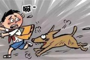 狗狗突然咬人的10个原因,对主人下口的狗能继续养吗