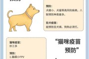 宠物疫苗接种全指南：如何为狗狗猫咪选择合适疫苗