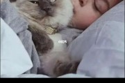 猫能跟人一起睡吗(中国最长寿的猫咪)