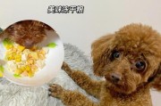 狗狗可以吃芝麻吗,狗狗吃芝麻利弊分析