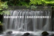 泰迪和博美哪个更大（选择适合你的宠物伴侣）
