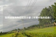 如何训练狗狗拉拉大小便（从零开始的指南）