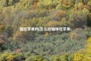 猫吃苹果吗(怎么给猫咪吃苹果)