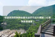 快速有效的狗狗皮囊炎治疗方法大揭秘（让宠物恢复健康）