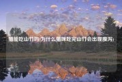 猫能吃山竹吗(为什么猫咪吃完山竹会出现腹泻)