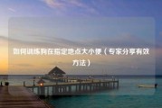 如何训练狗在指定地点大小便（专家分享有效方法）