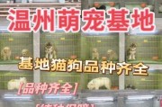 狗狗宠物店回来后特别凶,附近哪里有狗狗宠物店