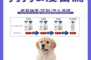 幼犬第一次洗澡注意事项(狗狗接种疫苗后多久能洗澡)