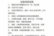 小白兔怎么养才能养活(兔子怎么样喂养)