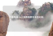 八哥寿命(人工饲养和野生状态比较)