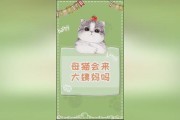 猫咪不会来例假(猫咪发情时会产生类似月经的现象吗)