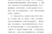 猫的外形特点简单介绍,描写猫的外形