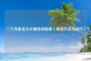 二个月金毛大小便培训指南（有效方法与技巧）