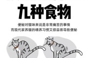 小猫便秘怎么办最快通便,猫便秘吃什么排便快