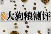 50克宠比利狗粮有多少粒,一颗50克重的鸡蛋相当于多少粒狗粮