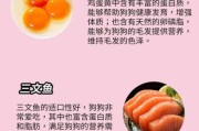 比熊犬最爱的零食有哪些？健康美味全解析