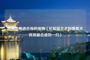 如何选择适合你的宠物（比较俊介犬和博美犬找到最合适的一只）